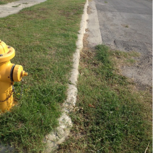Street curb filled with overgrown grass