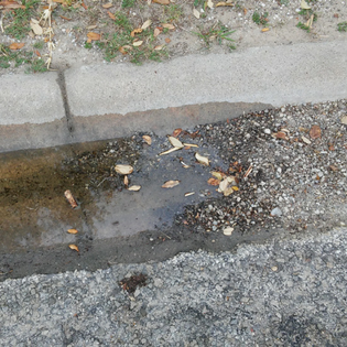 Curb with gravel and dirt blocking flow of water