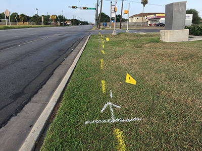 Grass with yellow flag markings